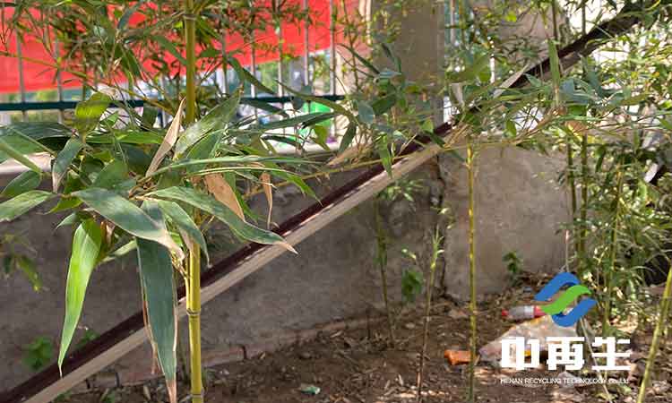 生活垃圾處理產業(yè)集成是產業(yè)集成與循環(huán)經濟的結合。